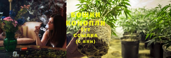 трава Лабытнанги