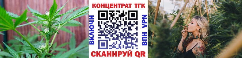 Купить  Абаза  Дистиллят ТГК Wax 